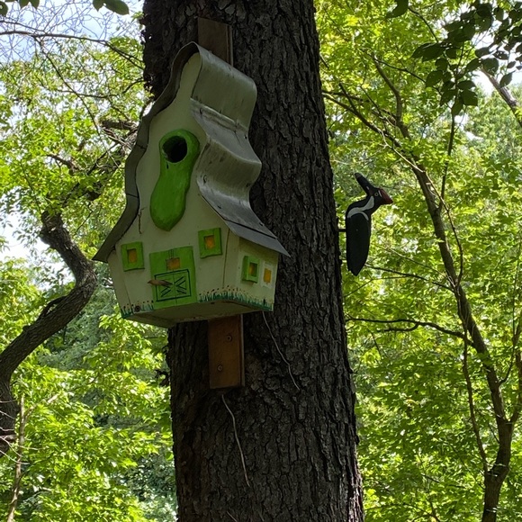 Meet your Posher, Sonya - Picture 4 of 9